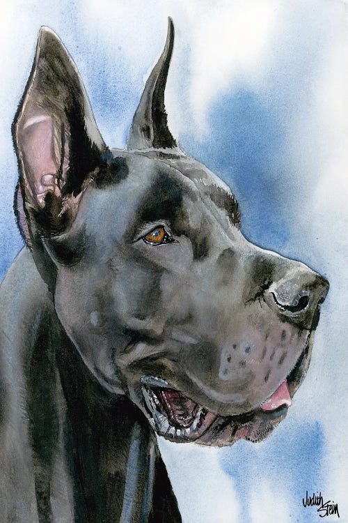 Big Danish - Black Great Dane by Judith Stein wall art