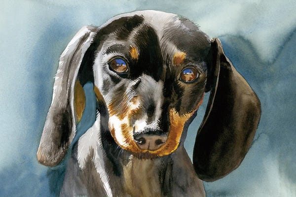 Dachshunds: Doxie Moxie - Miniature Dachshund by Judith Stein