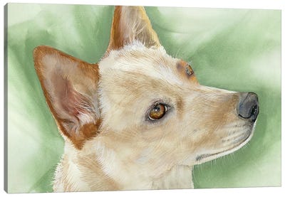 Heeler - Australian Cattle Dog Canvas Art Print - Australian Cattle Dog Art