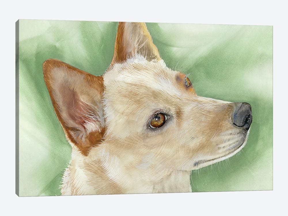 Heeler - Australian Cattle Dog by Judith Stein 1-piece Canvas Artwork