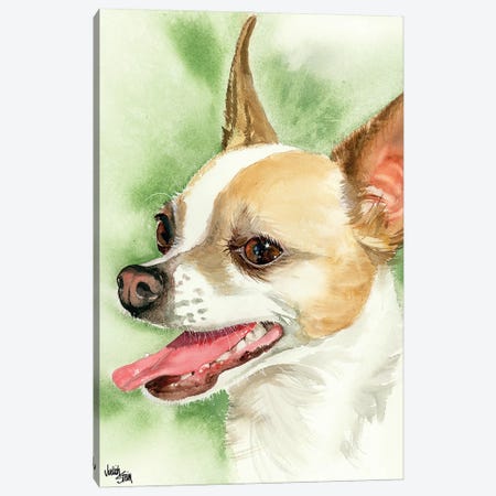 !Ay Chihuahua! Chihuahua Canvas Print #JDI1} by Judith Stein Canvas Artwork