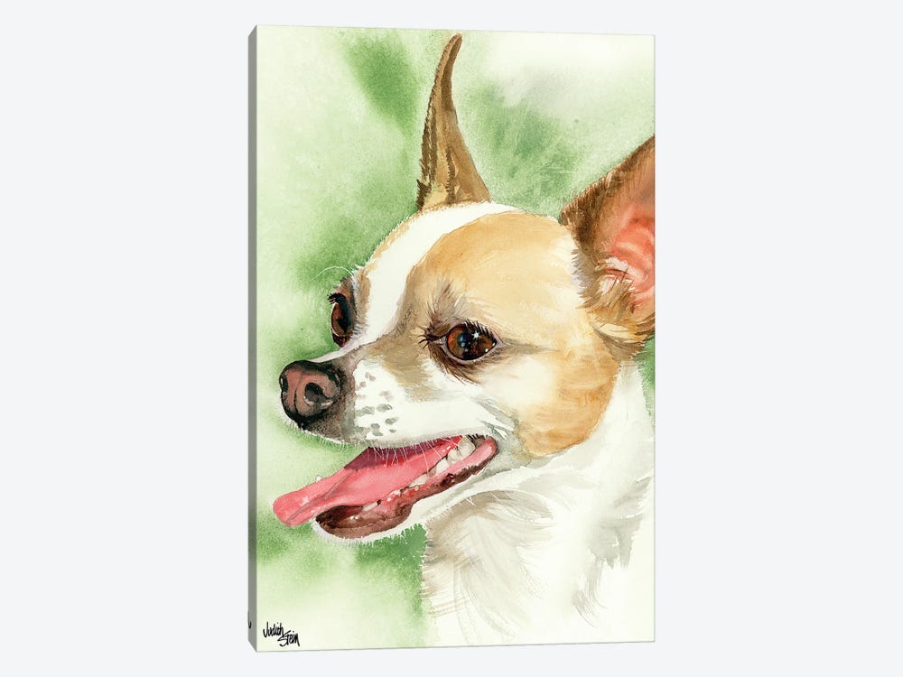 !Ay Chihuahua! Chihuahua by Judith Stein 1-piece Canvas Print