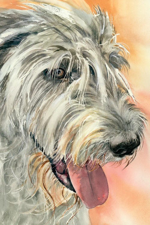 Irish Eyes - Irish Wolfhound