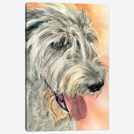 Irish Eyes - Irish Wolfhound Canvas Print #JDI200} by Judith Stein Canvas Art Print