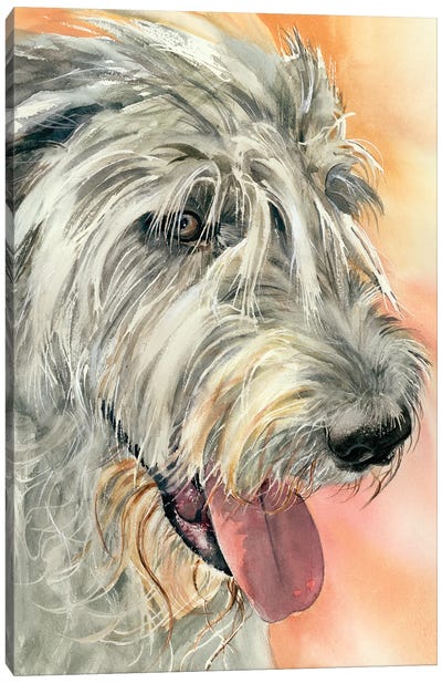 Irish Eyes - Irish Wolfhound Canvas Art Print - Judith Stein