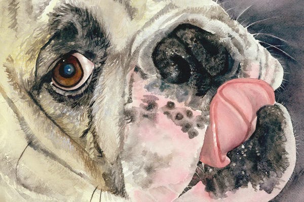 Bulldogs: Just Lickin Around by Judith Stein