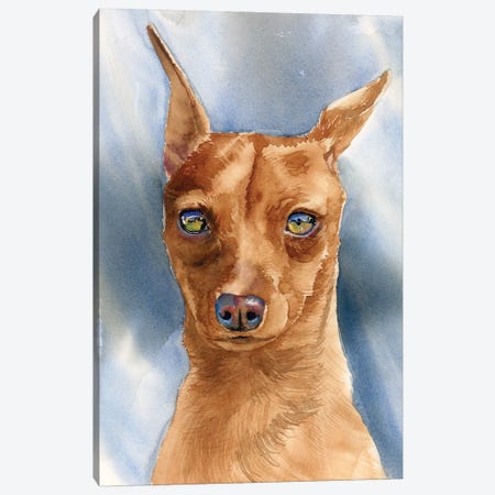 King Of The Toys - Miniature Pinscher Dog Canvas Print #JDI203} by Judith Stein Canvas Print
