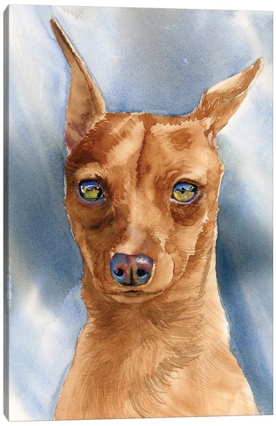 King Of The Toys - Miniature Pinscher Dog Canvas Art Print - Judith Stein