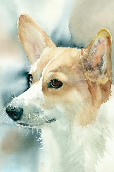 Corgis: Pembroke Welsh Corgi by Judith Stein