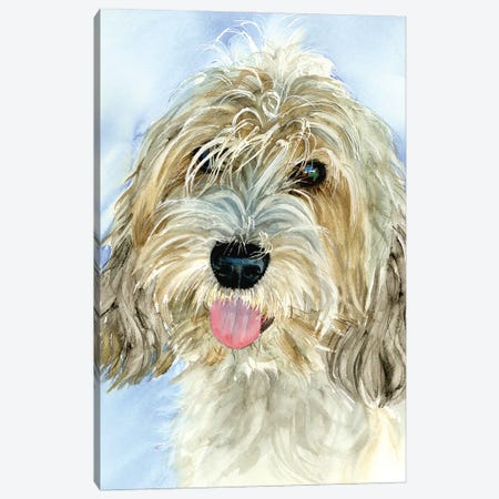 Petit Basset Griffon Vendéen Dog Canvas Print #JDI208} by Judith Stein Canvas Print