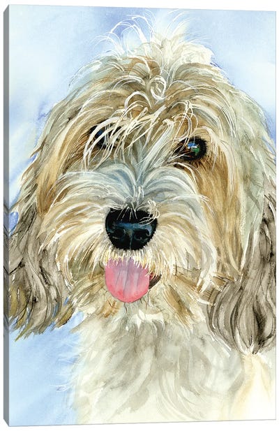 Petit Basset Griffon Vendéen Dog Canvas Art Print - Judith Stein