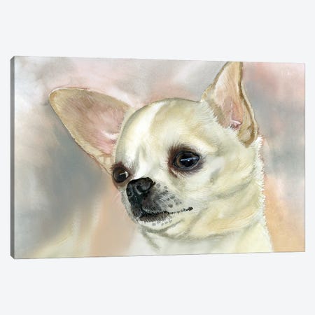 Playtime Pooch - Smooth Coat Chihuahua Canvas Print #JDI209} by Judith Stein Canvas Art Print