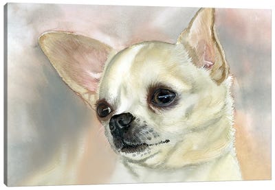 Playtime Pooch - Smooth Coat Chihuahua Canvas Art Print - Judith Stein