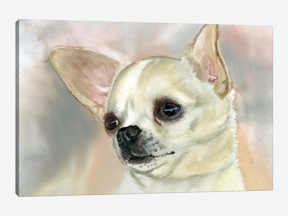 Playtime Pooch - Smooth Coat Chihuahua by Judith Stein 1-piece Canvas Artwork
