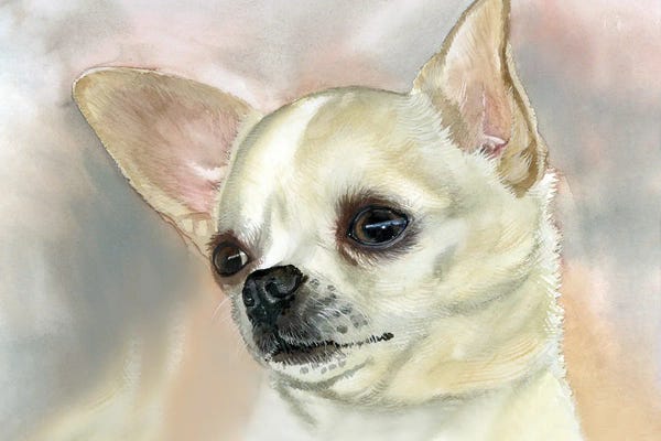Chihuahuas: Playtime Pooch - Smooth Coat Chihuahua by Judith Stein