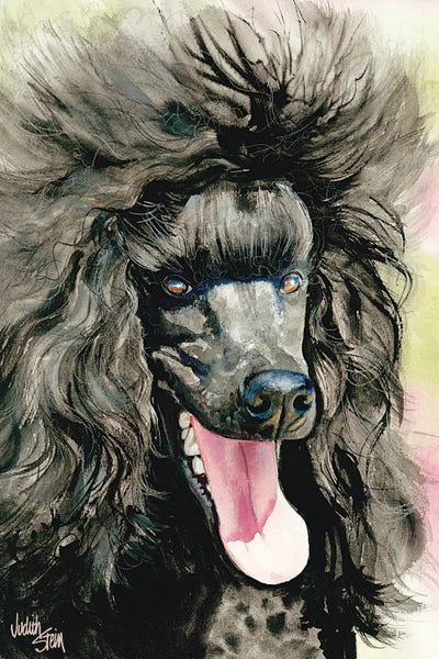 Black Magic - Black Poodle by Judith Stein metal wall art