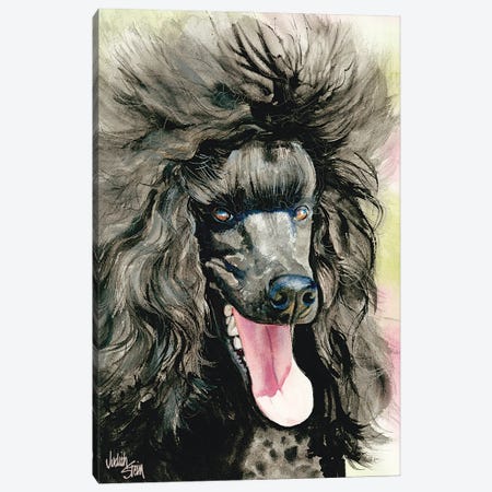 Black Magic - Black Poodle Canvas Print #JDI22} by Judith Stein Canvas Art