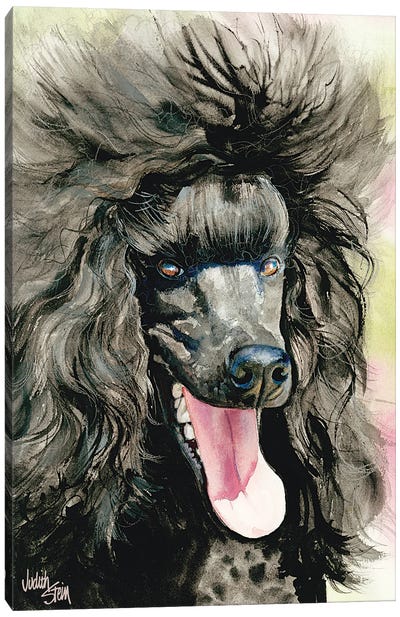 Black Magic - Black Poodle Canvas Art Print - Judith Stein