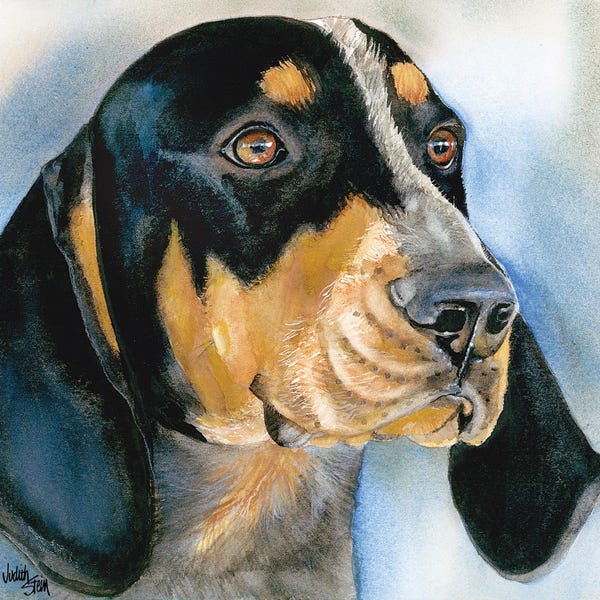 Blue Boy - Bluetick Coonhound