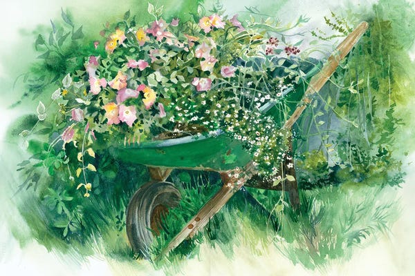 Barrow Of Fun Floral