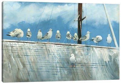 Bird's Eye View Seascape Canvas Art Print - Gull & Seagull Art