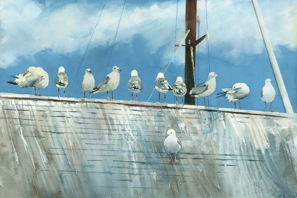 Bird's Eye View Seascape