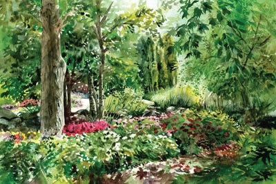 Down The Garden Path Landscape by Judith Stein canvas print