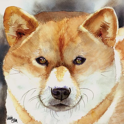 Bold Spirit - Shiba Inu by Judith Stein canvas print