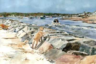 On Alert Seascape by Judith Stein canvas print