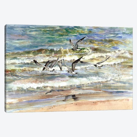 Superior Seagulls Seascape Canvas Print #JDI259} by Judith Stein Canvas Wall Art