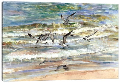 Superior Seagulls Seascape Canvas Art Print - Judith Stein