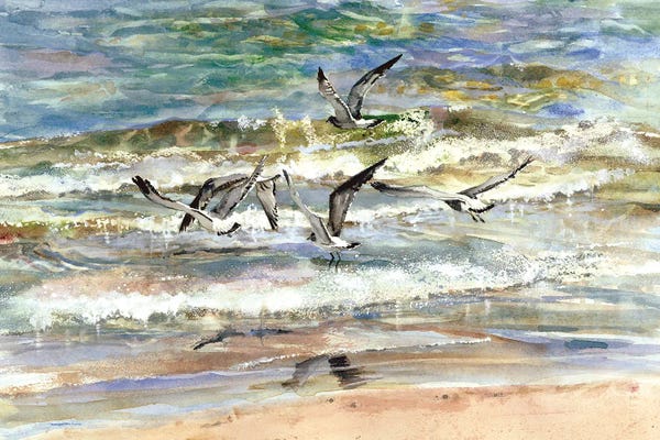 Superior Seagulls Seascape
