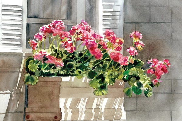 Windows: Boxed In by Judith Stein