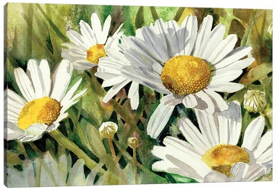 Daisies Don't Tell Canvas Art Print - Daisy Art