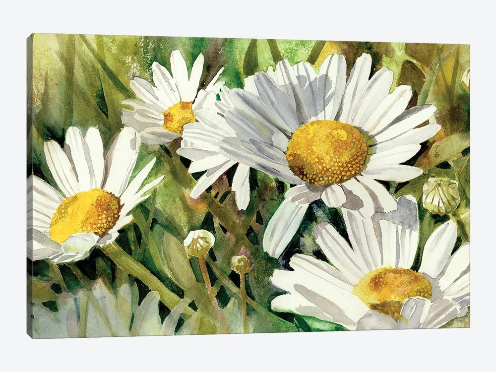 Daisies Don't Tell by Judith Stein 1-piece Canvas Wall Art