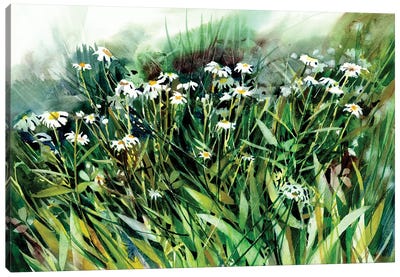 Daisy Chain Canvas Art Print - Daisy Art