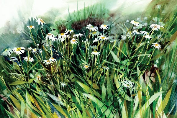 Daisies: Daisy Chain by Judith Stein