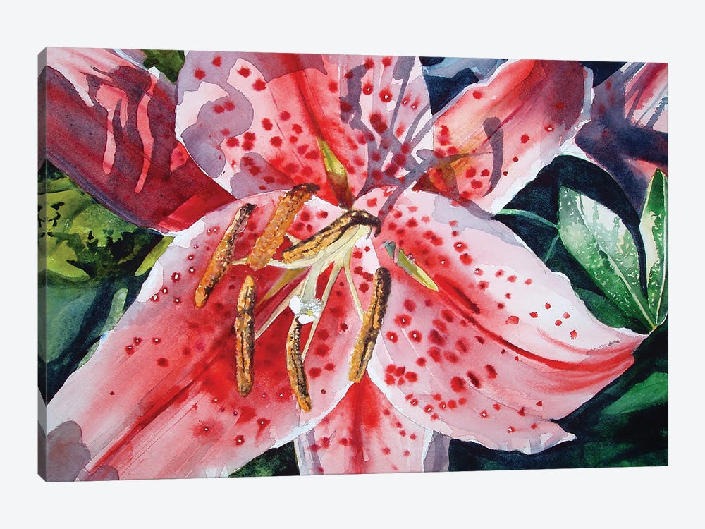 Day Lilies Door County by Judith Stein 1-piece Canvas Art Print