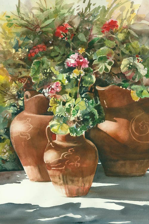 Flowers In Clay Pots