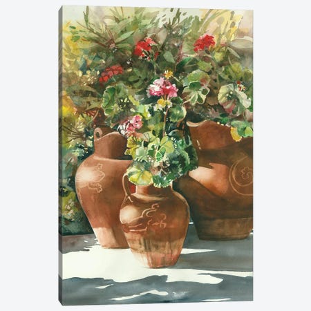 Flowers In Clay Pots Canvas Print #JDI277} by Judith Stein Canvas Art Print