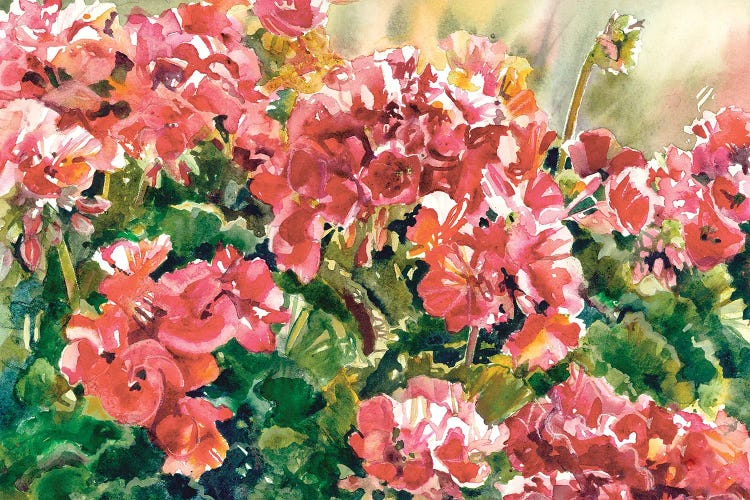 Gentle Geraniums by Judith Stein wall art