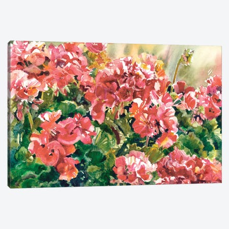 Gentle Geraniums Canvas Print #JDI278} by Judith Stein Canvas Art