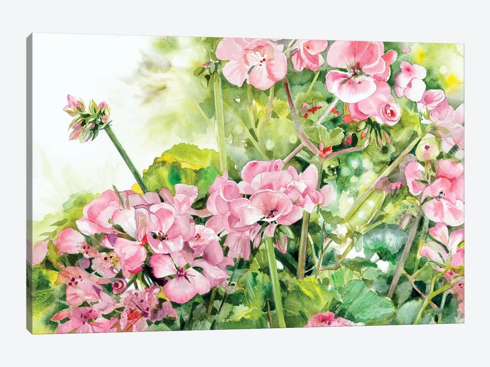 Geranium Glory by Judith Stein 1-piece Canvas Print