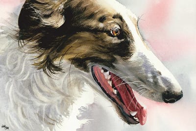 Borzois