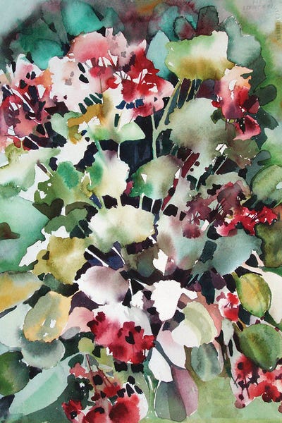 Geraniums: Geraniums by Judith Stein