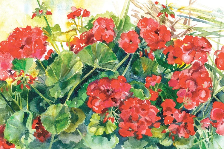 Joyful Geraniums by Judith Stein wall art