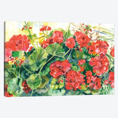 Joyful Geraniums Canvas Print #JDI284} by Judith Stein Canvas Art