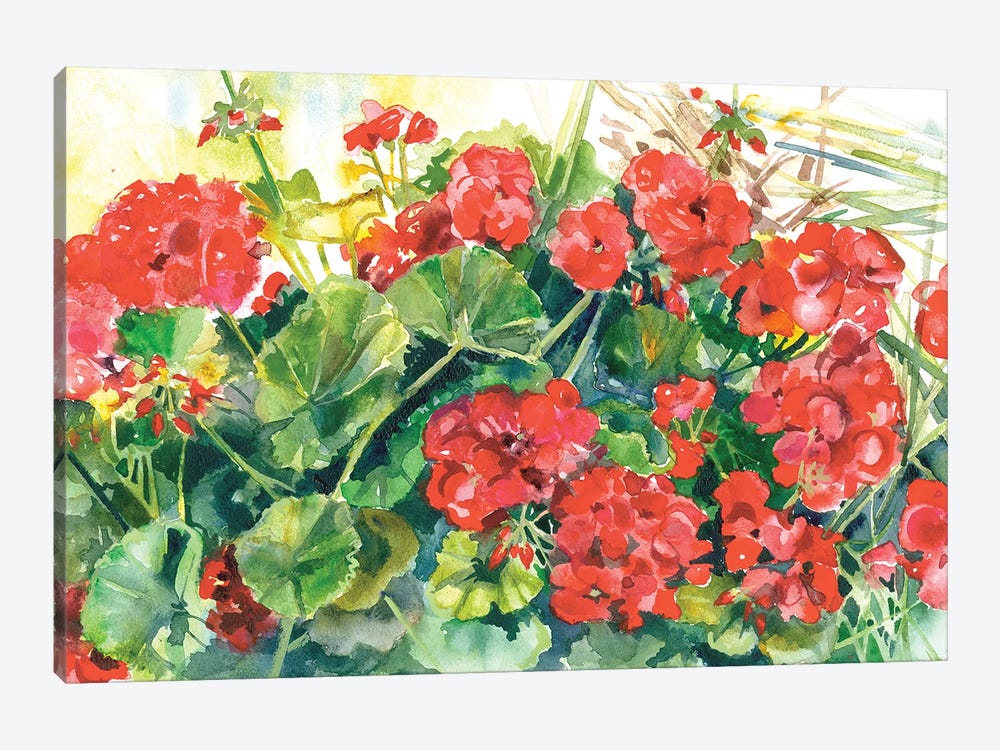 Joyful Geraniums by Judith Stein 1-piece Canvas Print