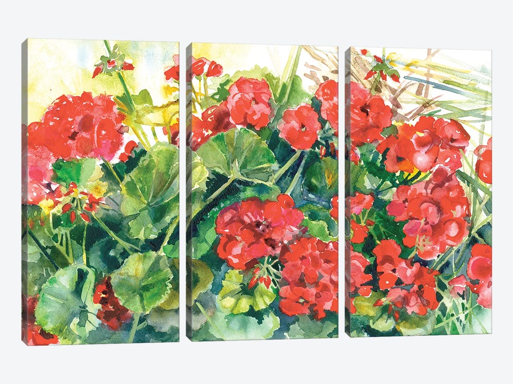 Joyful Geraniums by Judith Stein 3-piece Canvas Art Print