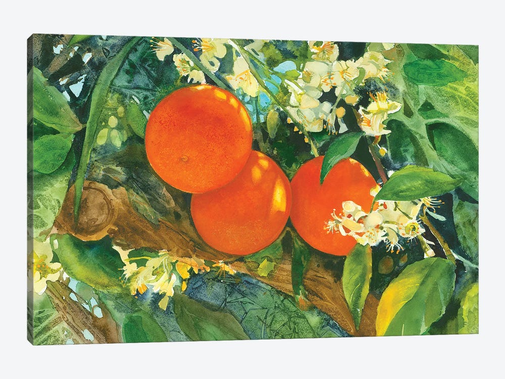 Orange Blossom Time by Judith Stein 1-piece Canvas Wall Art